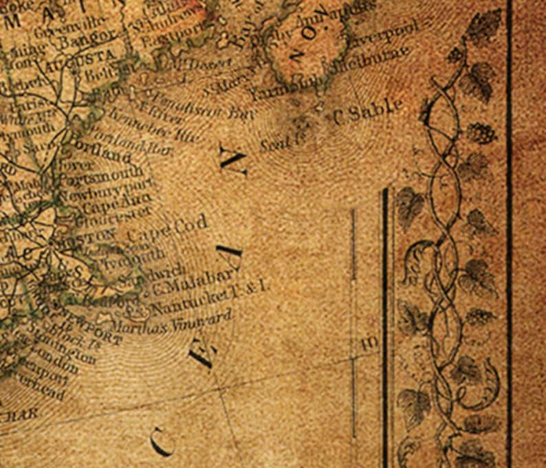 Puede incluir: Un mapa vintage de la costa este de Am&eacute;rica del Norte, con un borde decorativo de vides y hojas. El mapa muestra varios lugares, incluyendo Cape Cod, Nantucket y C Sable.
