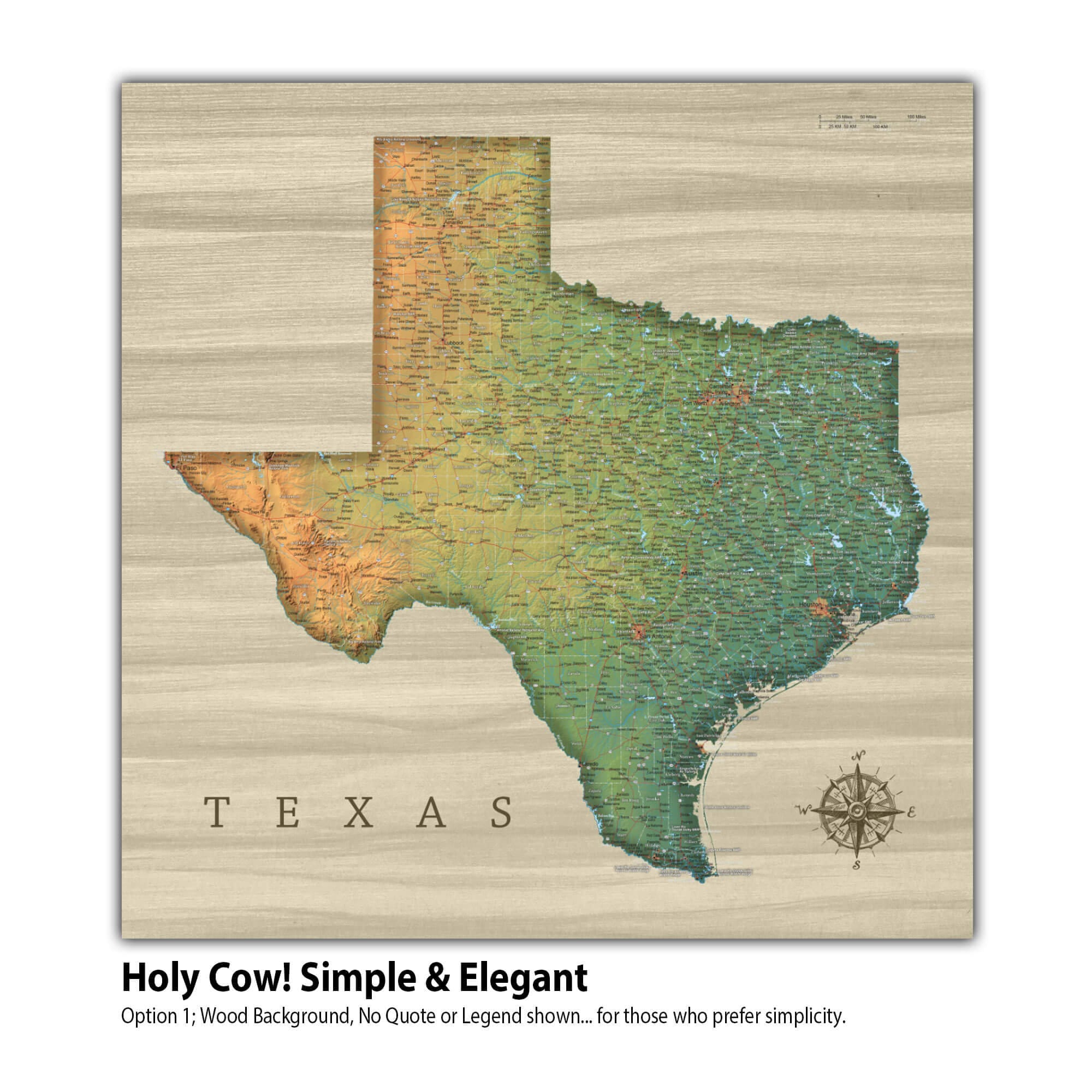 Texas Push Pin Map, Personalized Texas State Map for Office, Stretched ...