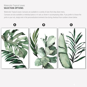 May include: Three watercolor paintings of tropical leaves. The first painting features a large monstera leaf with a smaller palm leaf. The second painting features a cluster of fiddle leaf fig leaves. The third painting features a banana leaf and a palm leaf.