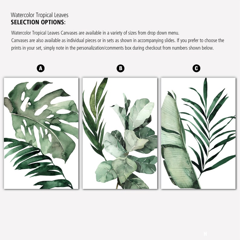 May include: Three watercolor paintings of tropical leaves. The first painting features a large monstera leaf with a smaller palm leaf. The second painting features a cluster of fiddle leaf fig leaves. The third painting features a banana leaf and a palm leaf.