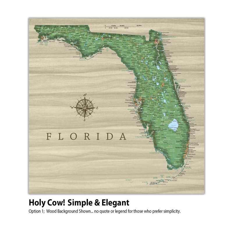 Florida Push Pin Map, Personalized Florida State Map, Upscale Canvas ...