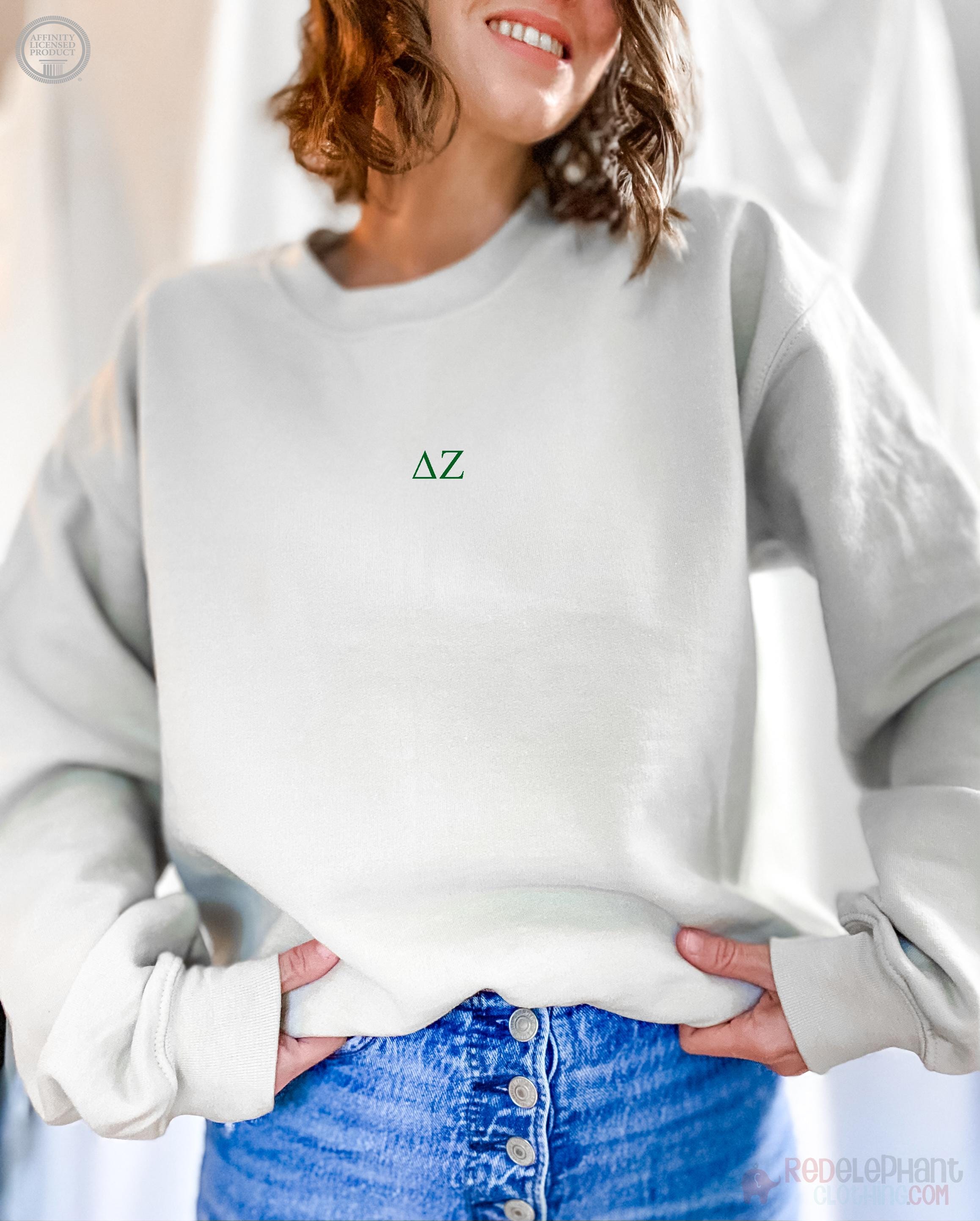 Delta Zeta Embroidered Sweatshirt, DZ Crew Neck Pullover Sweater Sorority Greek Letters Merch, Rush Bid Day Clothing Big Little Reveal Gift