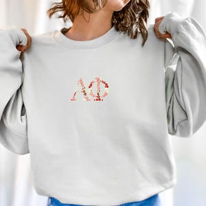 Alpha Phi Embroidered Sweatshirt, APhi Crew Neck Pullover Sweater Sorority Greek Letters Merch, Rush Bid Day Clothing Big Little Reveal Gift