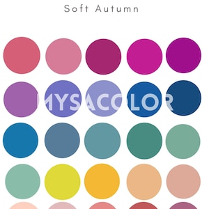 Seasonal Color Analysis Virtual Color Analysis Personalized written analysis and your best color palettes, digital color palettes image 4