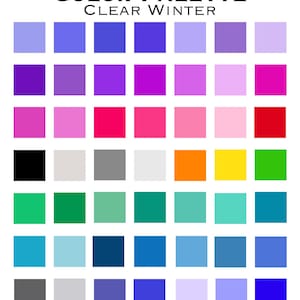 May include: A colour palette chart titled COLOR PALETTE CLEAR WINTER featuring a grid of forty-nine distinct coloured squares. The grid displays a wide variety of shades including blues, purples, pinks, reds, yellows, greens, greys, and black.