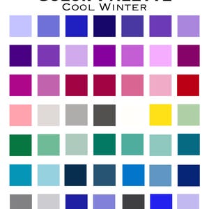 Op de afbeelding: Een kleurenpaletkaart met de titel COLOR PALETTE COOL WINTER, met een raster van zesenvijftig afzonderlijke vierkante kleurstalen. De collectie bevat verschillende tinten blauw, paars, roze, rood, geel, groen, grijs en wit in rijen.