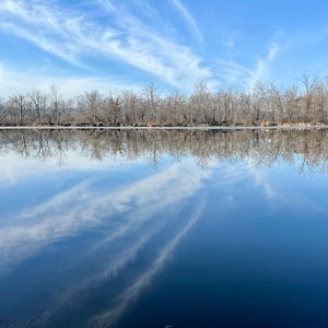 May include: A serene landscape featuring a reflective body of water mirroring a bright blue sky with wispy clouds. Bare trees line the horizon, their silhouettes mirrored in the water's surface, creating a symmetrical composition.