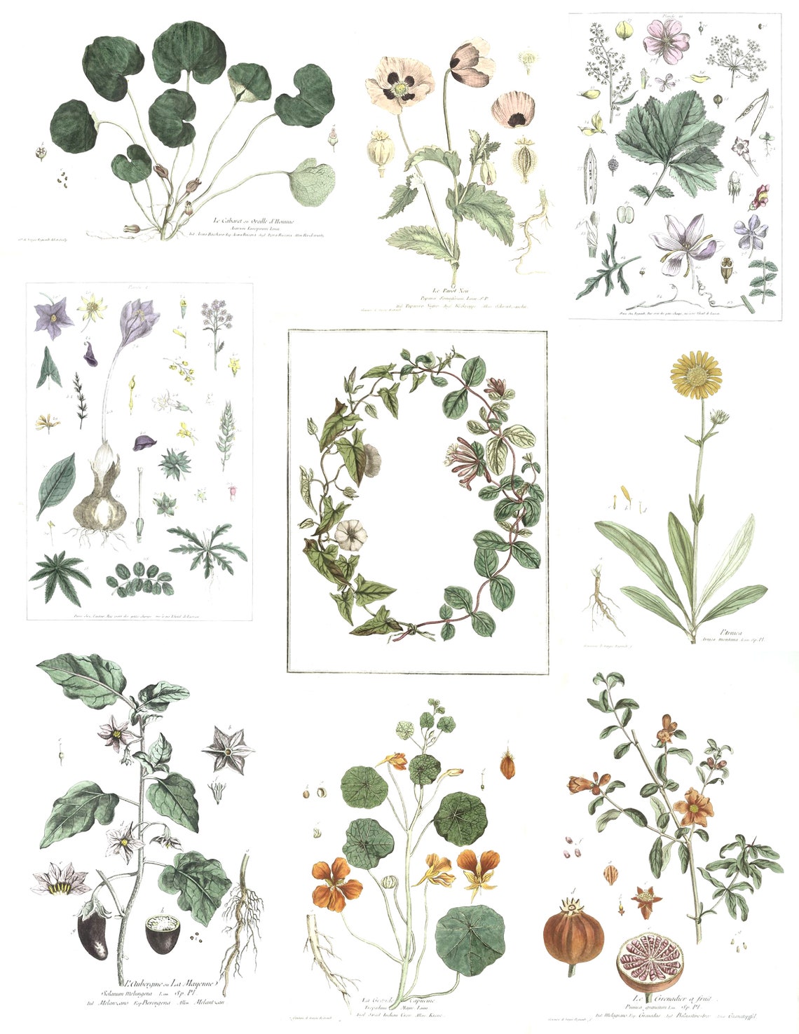 vintage botanical clip art planner stickers printable pdf etsy