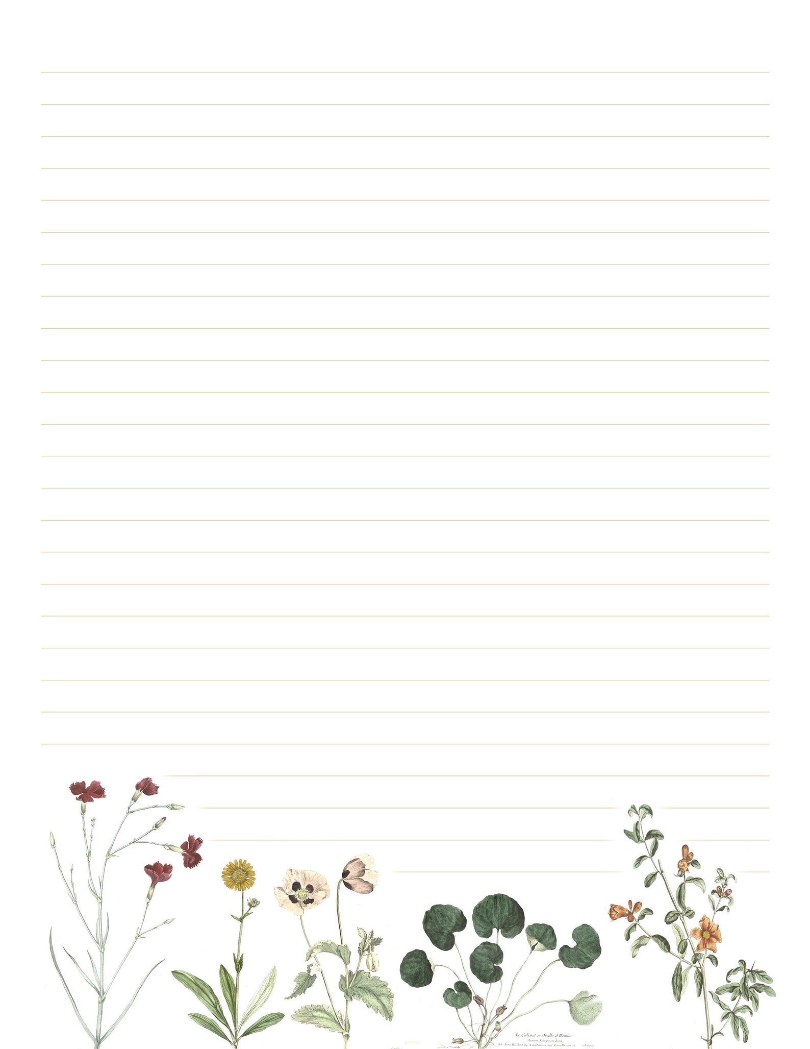 Vintage Flower Writing Paper Printable PDF Etsy France