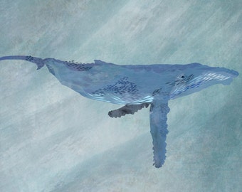 A3 poster – HUMPBACK WHALE