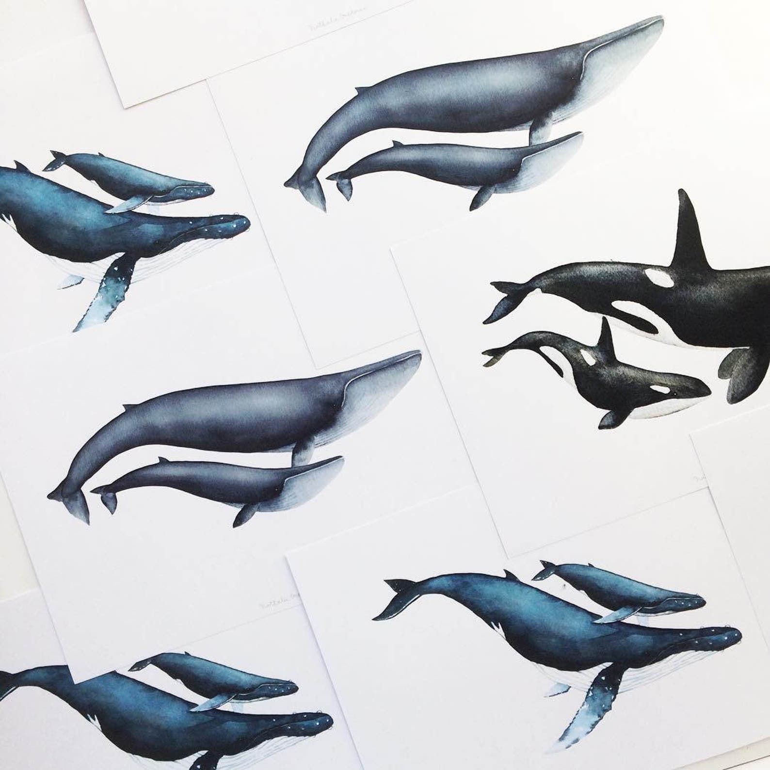 Baby whale baby whale print whale nursery Whale art print | Etsy