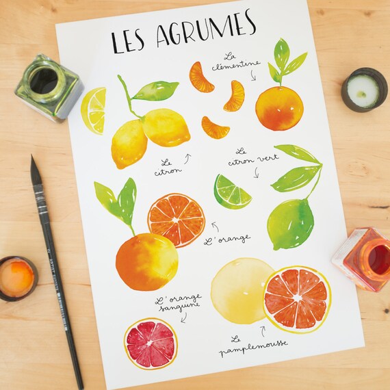 fruit print Fruit art print Fruit wall art fruit poster Etsy