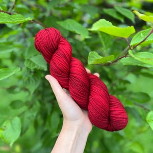 Süßer Apfel - Superwash DK Merino