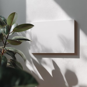 May include: A blank rectangular white canvas mounted on a textured white wall. To the left, a rubber plant with large, dark green, oval-shaped leaves casts a distinct shadow across the wall and the surface of the empty white canvas frame.