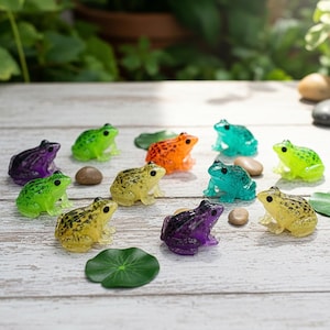 May include: A selection of miniature frog ornaments in a variety of colours, including green, purple, orange, and yellow. Some frogs have speckled patterns. Small stones and a green lily pad are also present.