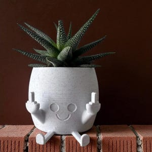 Pointing Planter | Cute Face Pot | Funny Succulent Planter | Garden Decor Gift | Unique Plant Pot | Attitude Garden Planter
