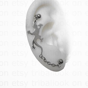 Chaînes hélicoïdales, chaîne hélice à lobes, chaîne d'haltères en acier inoxydable et gecko (jf)