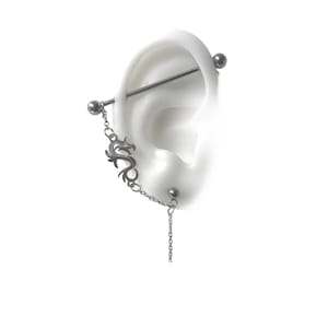 Industrial Barbell, Industrial Piercing Schmuck, Knorpel an Lobe Kette mit Drachen