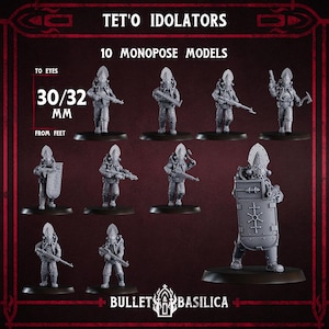 Può includere: Una collezione di dieci modelli in miniatura grigi monopose di Tet'o Idolators, ciascuno di circa 30/32 mm di altezza. I modelli sono raffigurati in varie pose d'azione, alcuni con armi e scudi. Il testo "TET'O IDOLATORS" e "BULLET BASILICA" sono visibili.
