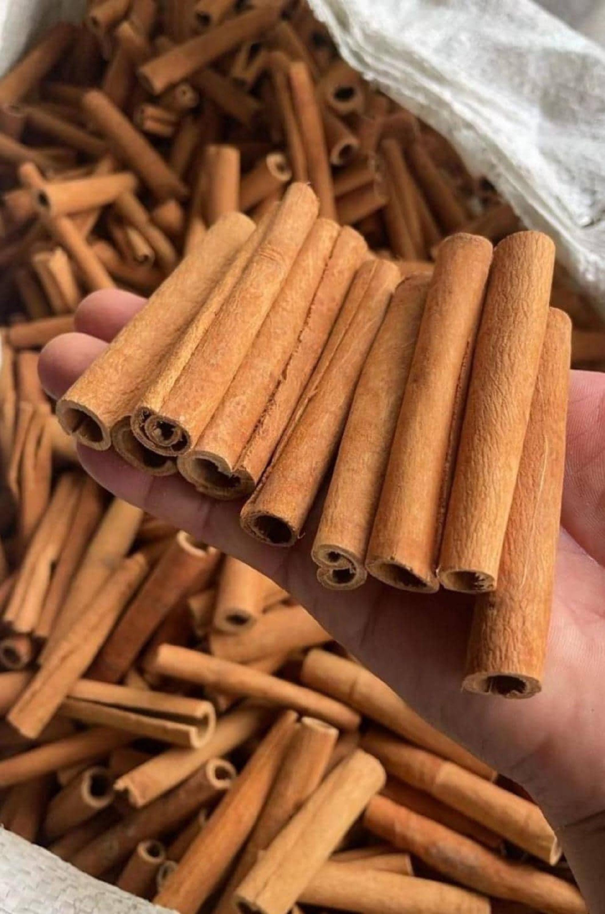 Cinnamon Sticks, Cinnamomum Verum, Cinnamomum Burmannii, Whole for Bulk ...