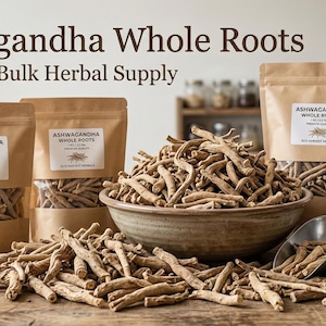 Bulk ashwagandha whole roots with packaging setup – dried ashwagandha roots for herbal supply and export quality