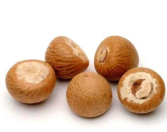Nueces de betel enteras | Uso en havan y rituales | Nueces de Areca catechu supari enteras