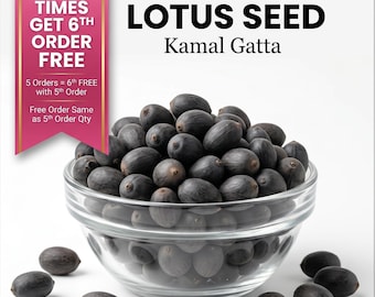 Sementes de lótus naturais: Kamal Gatta para a puja de Lakshmi (Nelumbo nucifera)