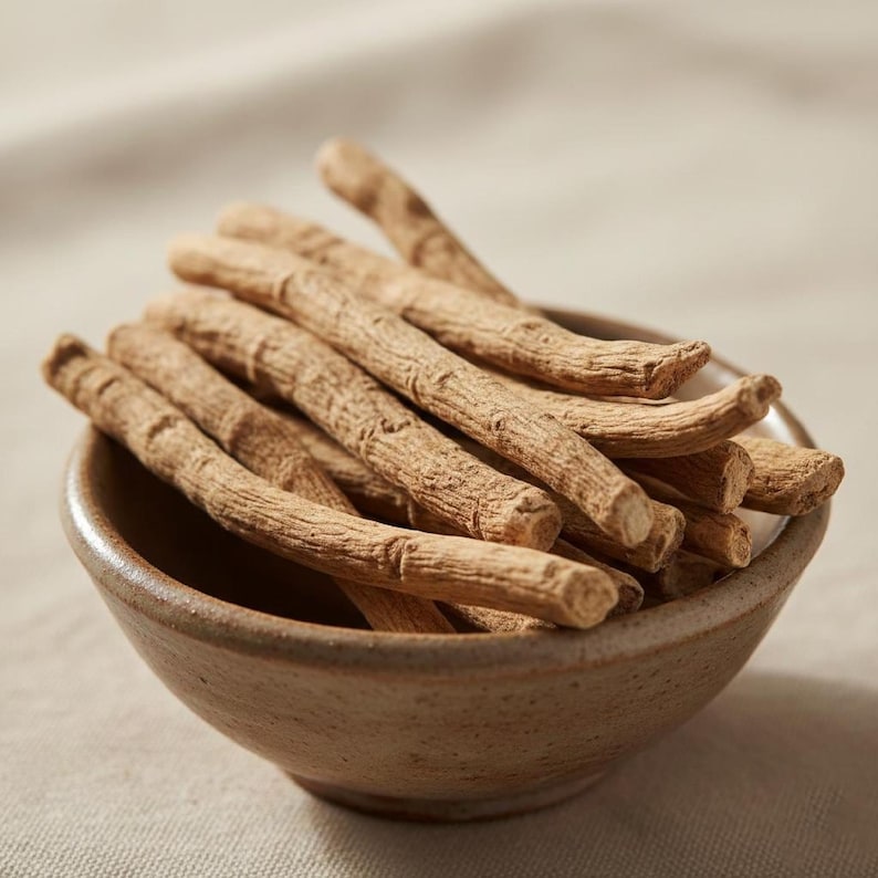 shatavari root sticks dried herbal asparagus racemosus natural product