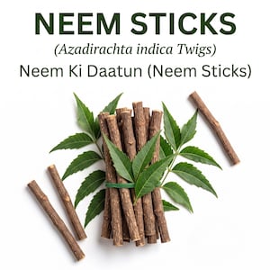 May include: A bundle of brown neem sticks tied with a green band, surrounded by green neem leaves. The text reads: NEEM STICKS (Azadirachta indica Twigs) Neem Ki Daatun (Neem Sticks). Two loose brown twigs are positioned to the left and right.