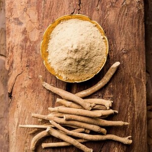 ashwagandha root with powder dried herbal withania somnifera natural product