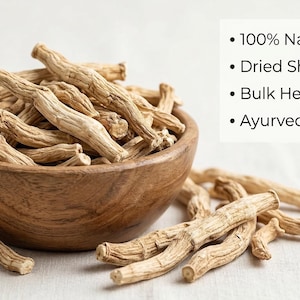Dried shatavari roots in wooden bowl – natural asparagus racemosus roots for herbal use and traditional wellness