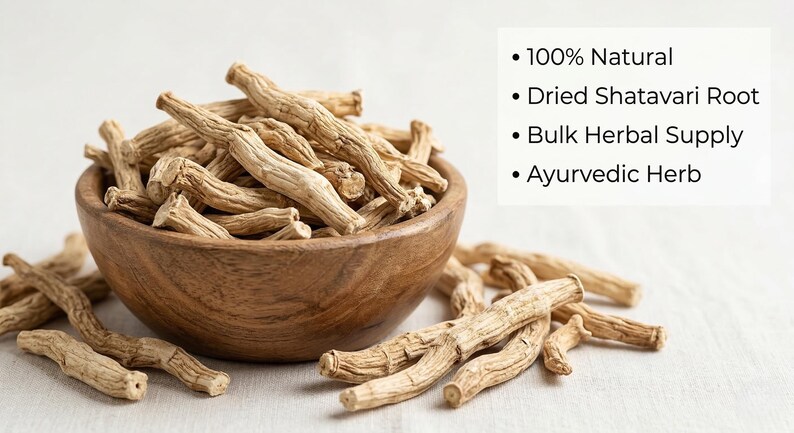 Dried shatavari roots in wooden bowl – natural asparagus racemosus roots for herbal use and traditional wellness
