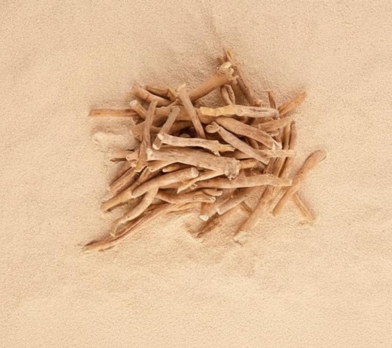 ashwagandha root pieces dried herbal withania somnifera natural ingredient