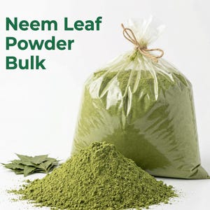 May include: A large clear plastic bag filled with green neem leaf powder, tied with twine. A pile of green powder sits in front of the bag, with a few neem leaves to the left. The text "Neem Leaf Powder Bulk" is in green letters.