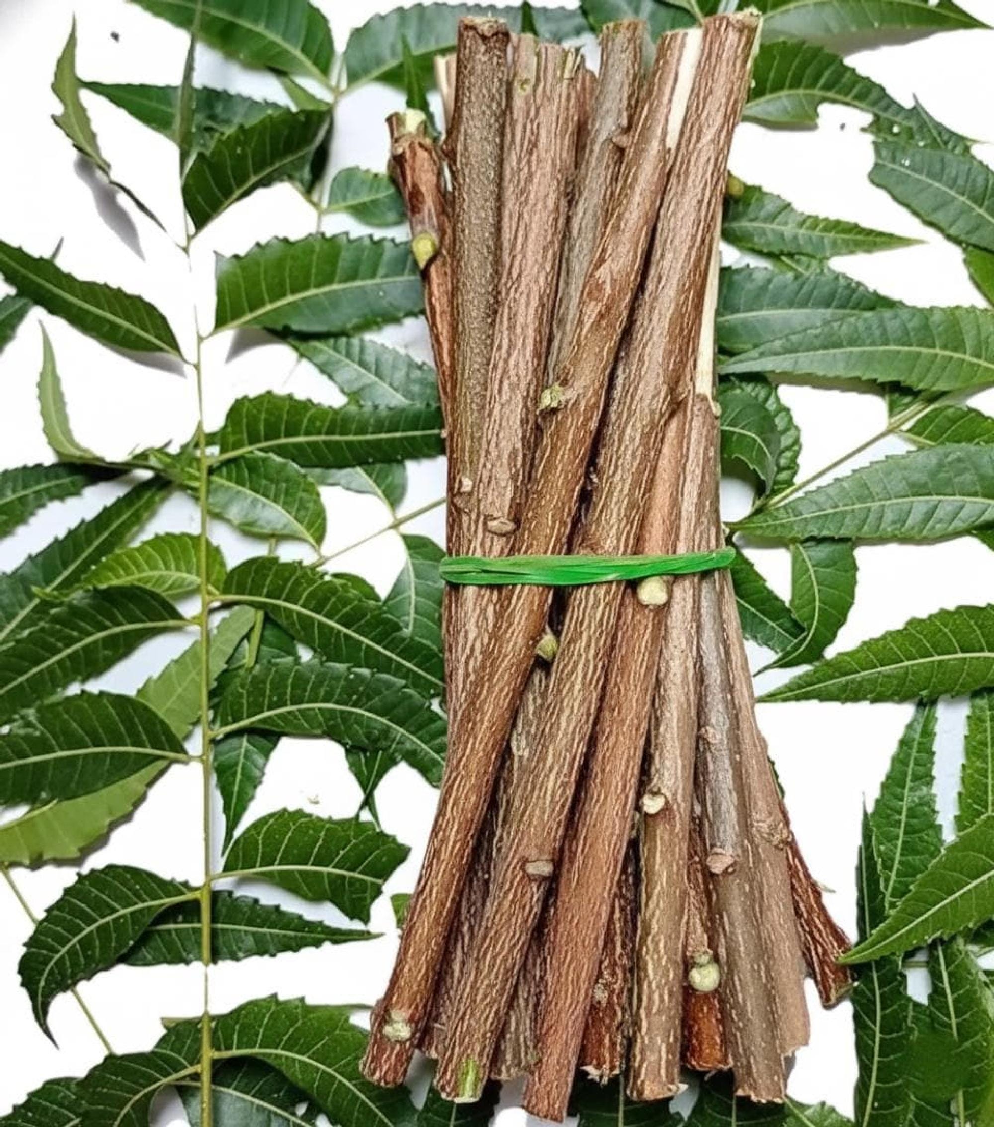 Datun Sticks Neem Toothbrush Sticks Herbal, Teeth Cleaning Twigs, Neeam Datun - Etsy