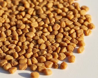 Bockshornkleesamen Ganze Dana Methi Natürliche Großpackung