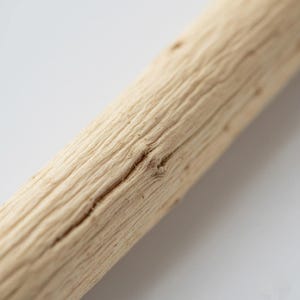shatavari root close up dried herbal asparagus racemosus natural texture