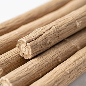 shatavari root macro dried herbal asparagus racemosus natural root sticks