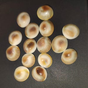 Mixed gomti chakra stones layout – natural spiritual stones for pooja and rituals