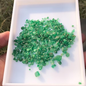 May include: A collection of small, vibrant green emeralds displayed in a white rectangular tray. The gemstones vary in size and shape, with a natural, rough appearance. The tray is held in a person's hand, with a blurred background of grass.