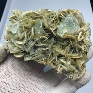 Fluorit akvamarin på muskovitprov - Nagar Chumar, Pakistan (480 gram)