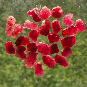 May include: A collection of small, raw, unpolished ruby gemstones in various shades of deep red. Each stone features an irregular, jagged shape with a translucent quality, showcasing natural facets and textures across the entire group of crystals.