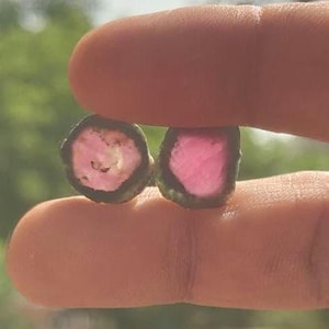 Könnte beinhalten: Zwei kleine, rohe Wassermelonen-Turmalin-Edelsteinscheiben mit einem leuchtend rosa Zentrum, das von einem ausgeprägten dunkelgrünen Außenrand umgeben ist. Diese kreisförmigen, natürlichen Mineralexemplare zeigen eine durchscheinende Qualität mit sichtbaren Kristallstrukturen.