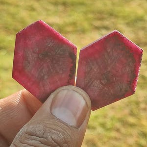 Puede incluir: Dos gemas hexagonales de color rosa-rojo se sostienen contra un fondo verde borroso. Las piedras tienen un patrón más oscuro y texturizado en el centro. Las gemas se sostienen entre los dedos.