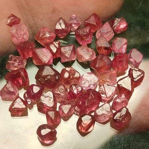 Lote de espinela rubí natural en bruto de 28,25 quilates / 42 piezas de gemas rojas sueltas / Tamaños variados de 7x6x4 a 4x3x3 mm / Espinela en bruto