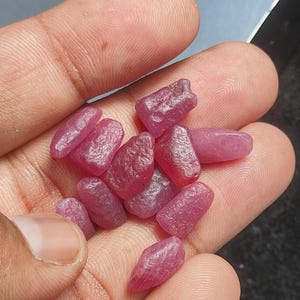 May include: A collection of small, raw, unpolished ruby gemstones with a deep pinkish-red hue. These stones feature irregular, natural shapes with textured, matte surfaces, showcasing their organic, uncut state as they rest in a palm.