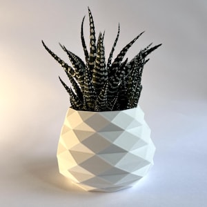 3D Printed Low Poly Plant Pot – 3D Printed Modern Mini Planter