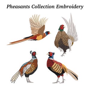 Może przedstawiać: Haft Kolekcja Bażantów. Cztery haftowane wzory bażantów w różnych pozach. Jeden bażant jest w locie, pozostałe stoją. Ptaki mają szczegółowe ściegi w odcieniach brązu, czerwieni, niebieskiego i złota, z białymi i beżowymi akcentami.