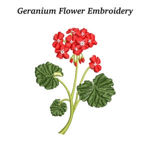 May include: Geranium Flower Embroidery. A detailed embroidery of a geranium flower with vibrant red blossoms and green leaves. The text "Geranium Flower Embroidery" is displayed above the floral design.