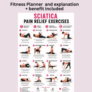 Sciatica Pain Relief Exercises, Lower Back Stretch Routine, Sciatic Nerve Glide Mobility Chart, Physical Therapy, Hip & Piriformis Stretches